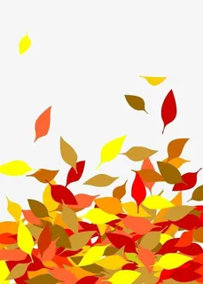 散落的叶子免抠