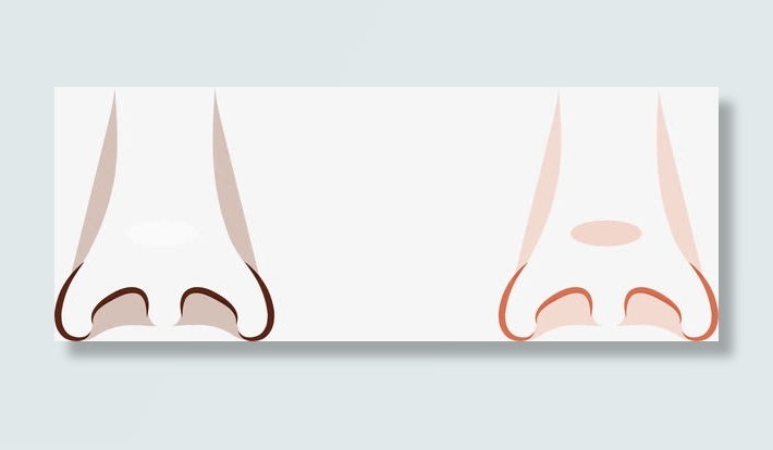 面部五官鼻子免抠