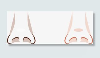 面部五官鼻子免抠