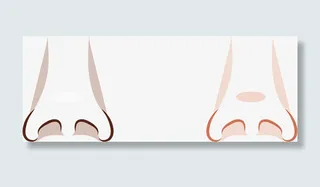 面部五官鼻子免抠