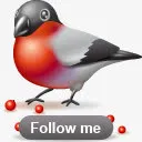 喜鹊follow me免抠