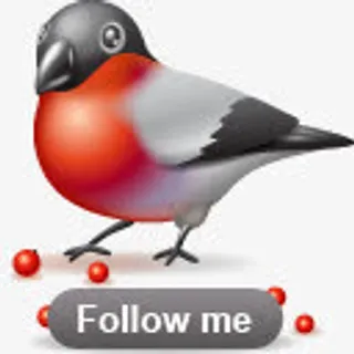 喜鹊follow me免抠