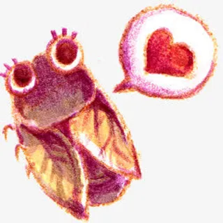 蝉summer-love-icons免抠