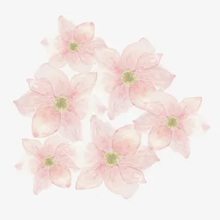 卡通手绘粉色的花朵免抠