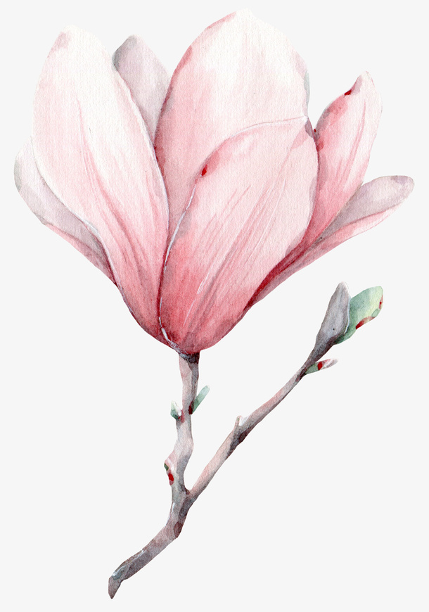 手绘粉色的小清新花朵免抠