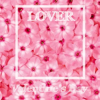 情人节粉色玫瑰花瓣背景高清