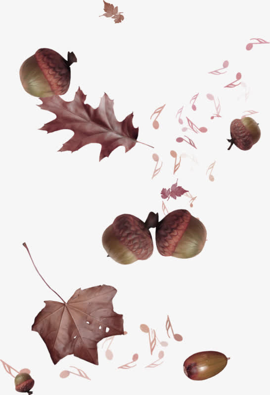 松果树叶音符漂浮素材免抠