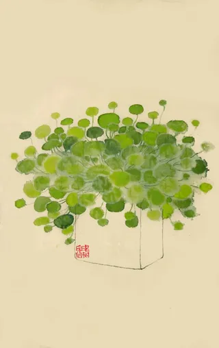 绿色荷花无任何人修饰免抠