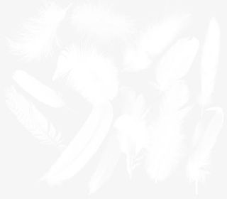 羽毛免抠