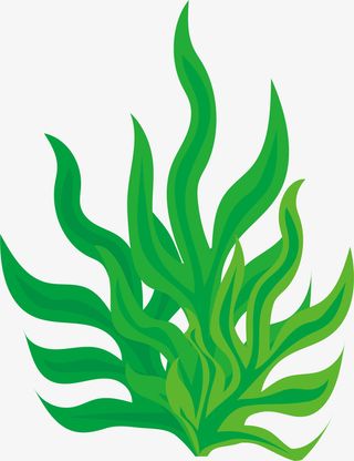 绿色清新扭动海草免抠