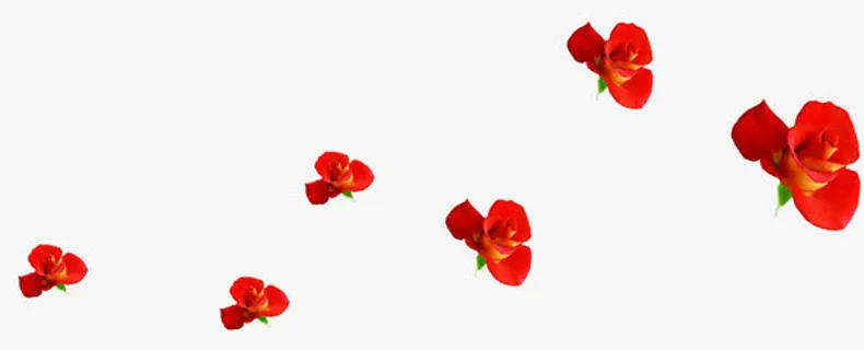 红色鲜花小花漂浮免抠
