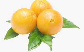 水果橙子免抠