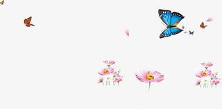 春天手绘蝴蝶花朵免抠
