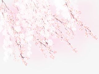 浪漫樱花花朵图案免抠