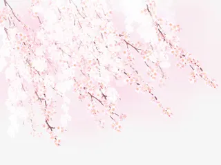 浪漫樱花花朵图案免抠