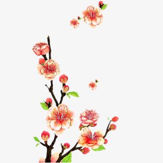 卡通春天盛开的梅花简笔画免抠