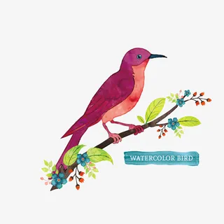 矢量鸟和树枝免抠