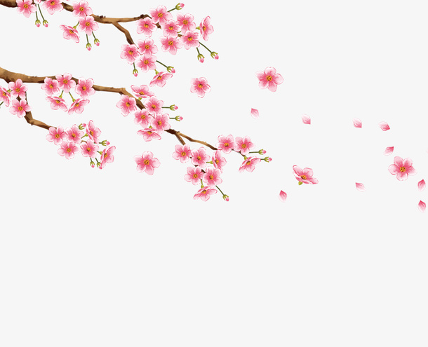 教师节桃花开了一树枝桃花瓣免抠