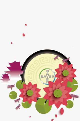 中秋节荷花免抠