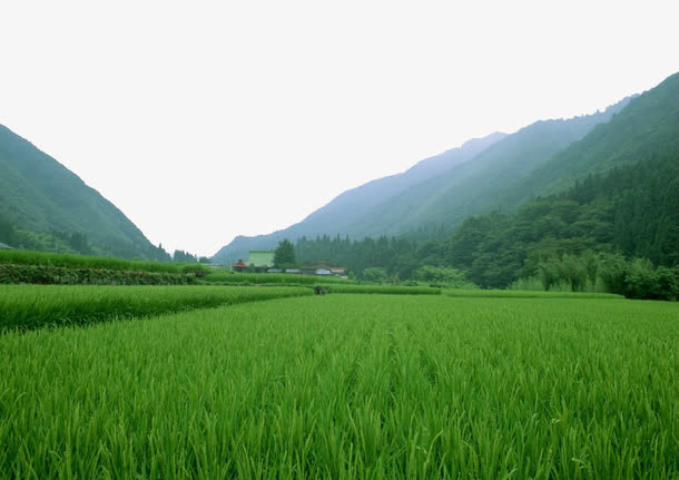 田野风景素材图免抠