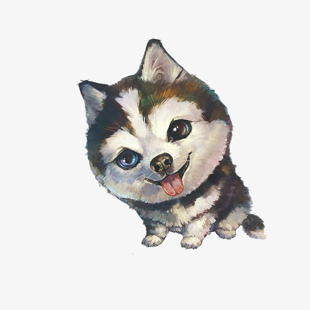 卡通可爱动物海报设计装饰哈士奇免抠