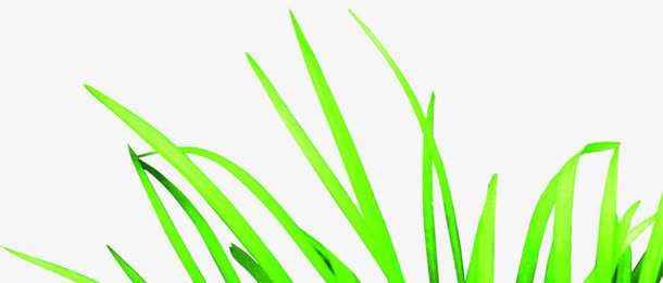 清新唯美草地清晰免抠