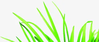 清新唯美草地清晰免抠