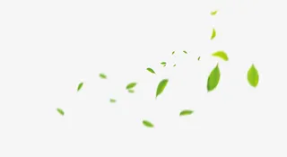 漂浮绿叶png免扣素材免抠