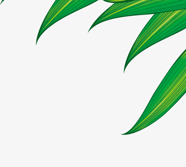 叶子免抠