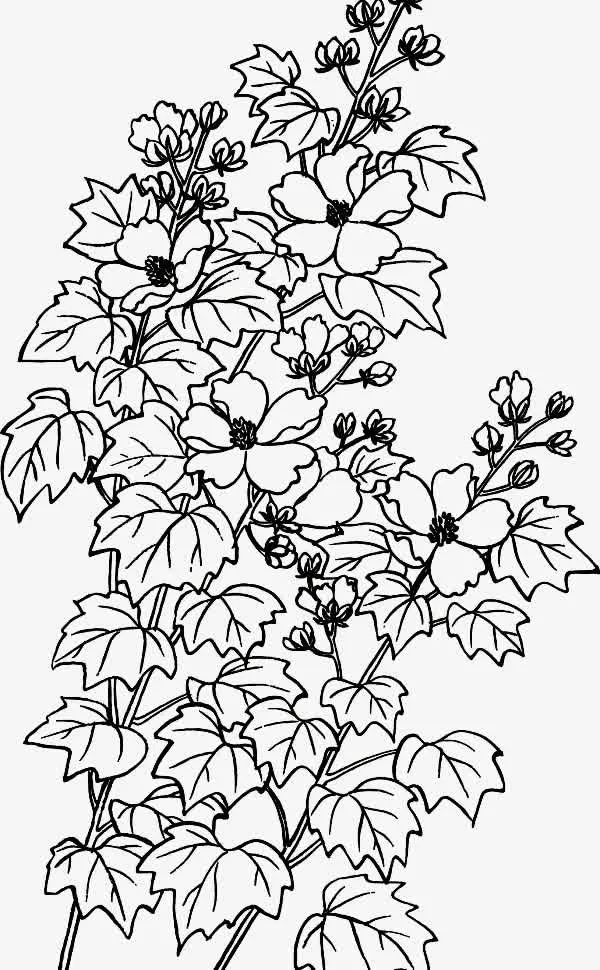 黑白线形花免抠