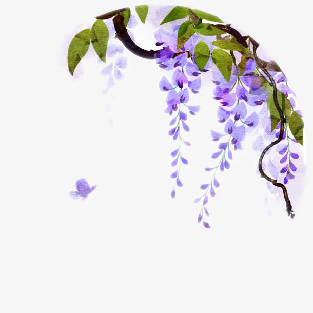 紫藤花的蝴蝶图片素材免抠
