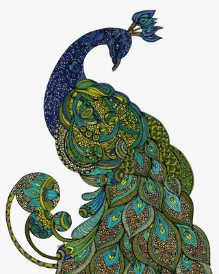 手绘蓝色中国风孔雀免抠