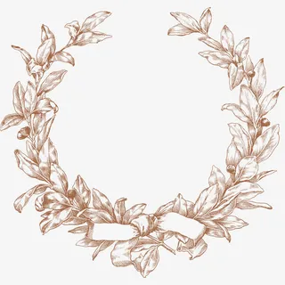 手绘植物花纹花边免抠