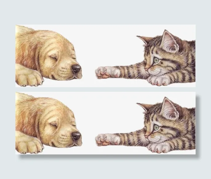 手绘动物免抠
