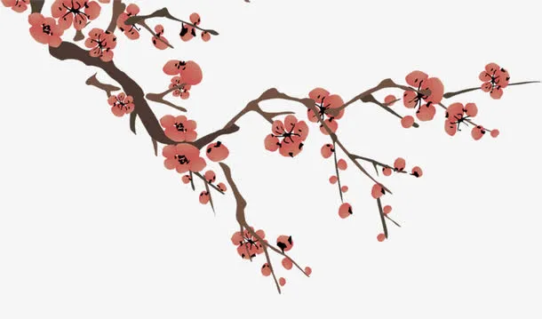 中国风梅花图案免抠