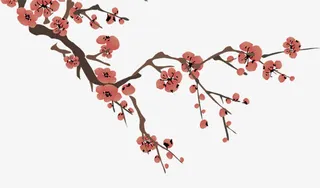 中国风梅花图案免抠