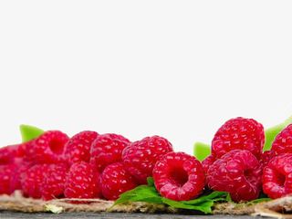 红色覆盆子ppt模板免抠