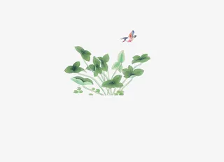 植物，宽叶子，中国风，花鸟免抠
