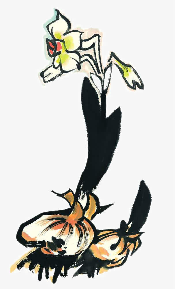 兰花免抠
