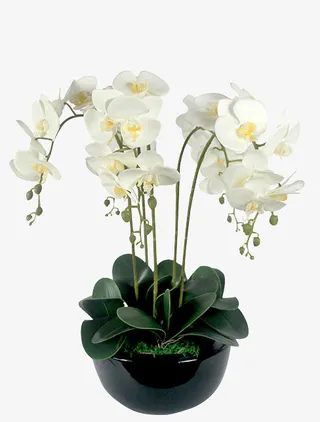 绿植鲜花免扣免抠