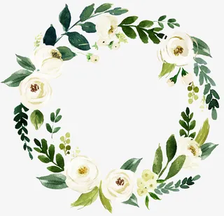 手绘白色花朵花环免抠