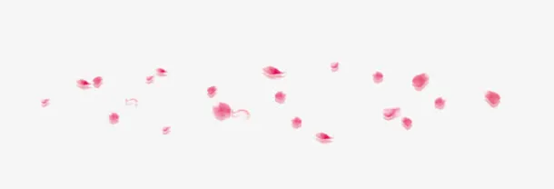 粉红花朵花瓣飘落一地免抠