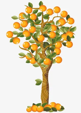 橘树图片下载免抠