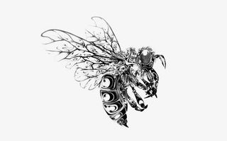 手绘蜜蜂图片素材免抠