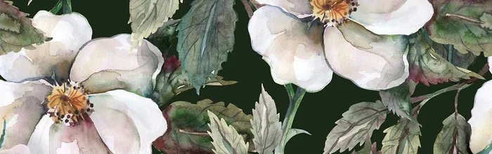 植物花卉背景高清