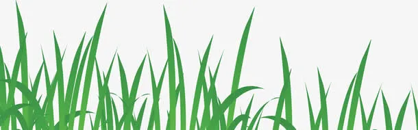 手绘春日清新草地免抠