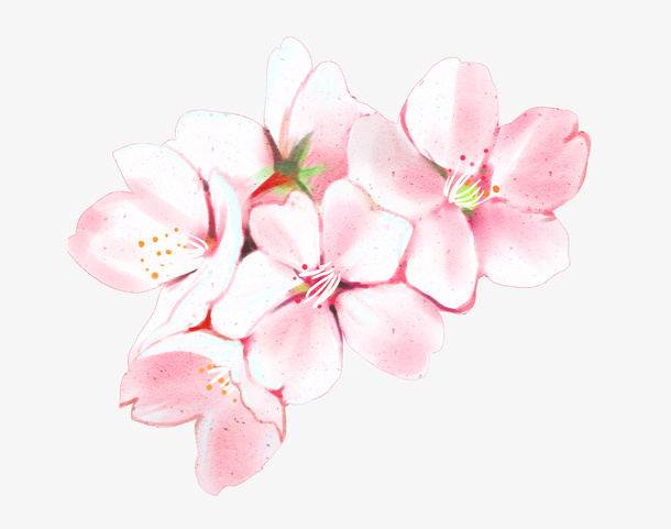 粉色樱花花朵绿色免抠手绘/卡通手绘元素