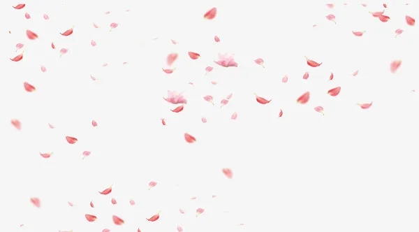粉色漂浮情人节花瓣免抠