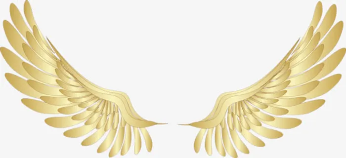 张开的翅膀免抠