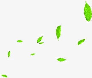 夏日海报植物飘扬树叶免抠